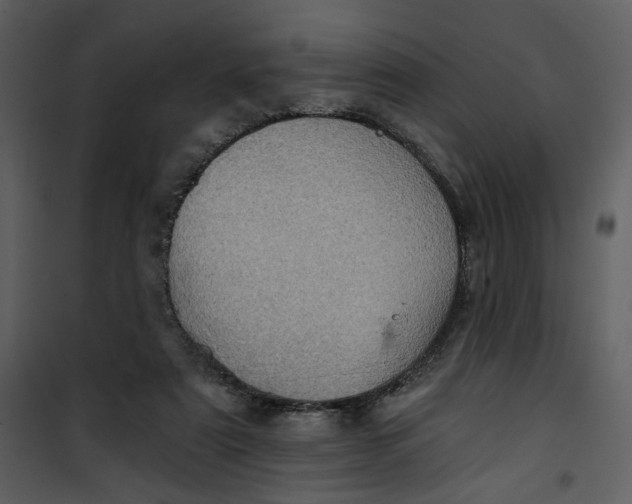 X0000101160307200807181405