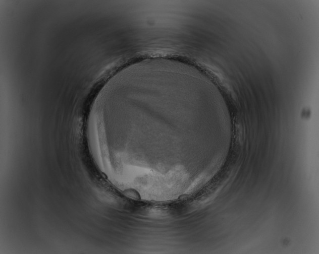 X0000101160308200807181405