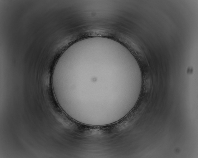 X0000101160310200807181405