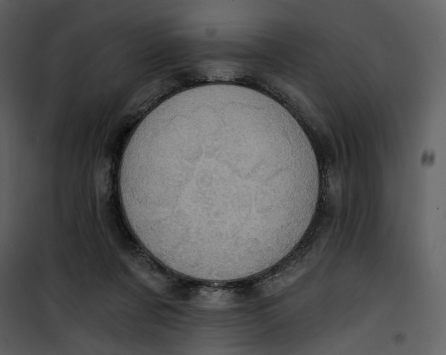 X0000101160311200807181405