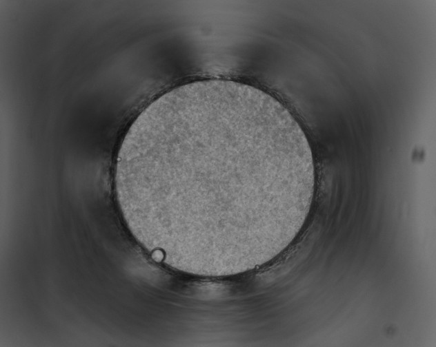 X0000101160313200807181405