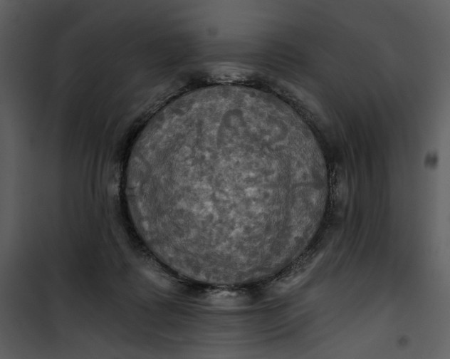 X0000101160315200807181405