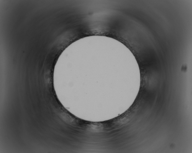 X0000101160317200807181405