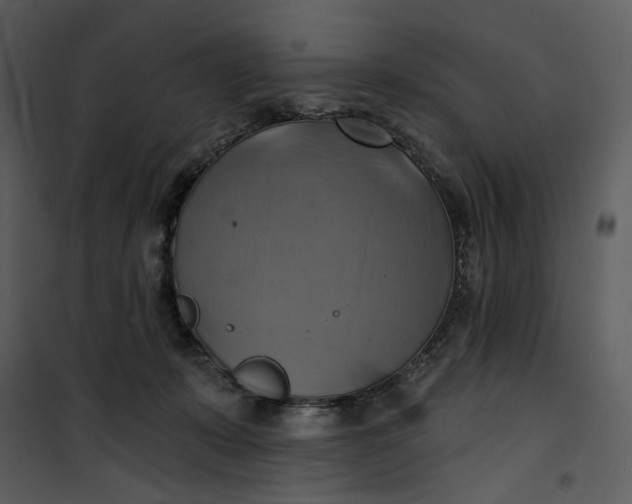 X0000101160319200807181405