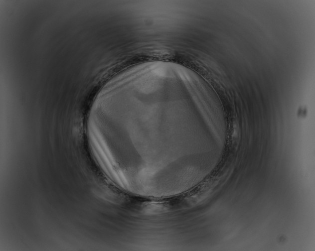 X0000101160320200807181405