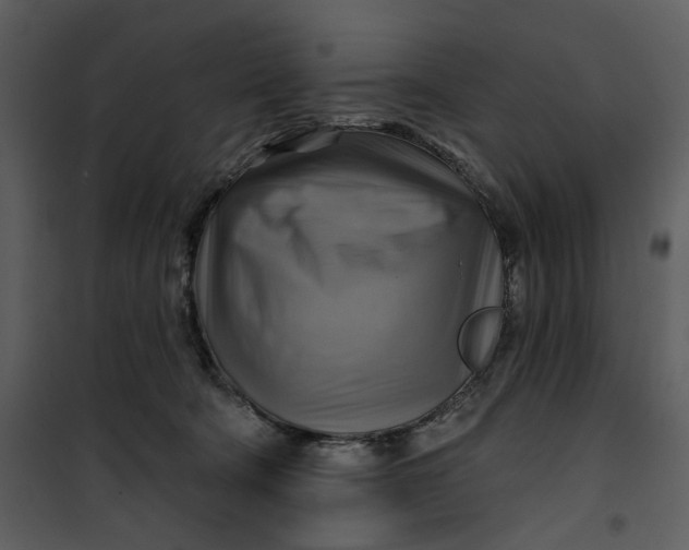 X0000101160322200807181405