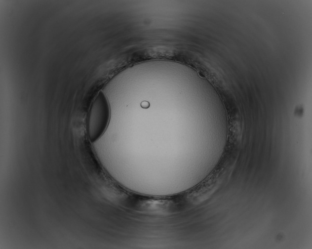 X0000101160323200807181405