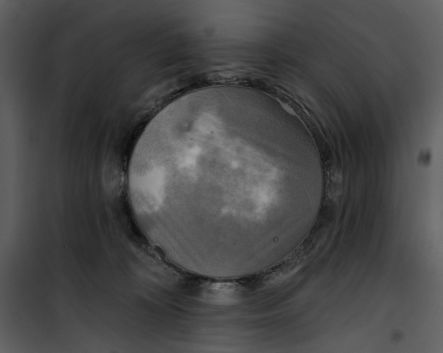 X0000101160324200807181405