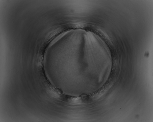 X0000101160325200807181405