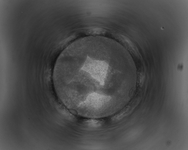 X0000101160326200807181405