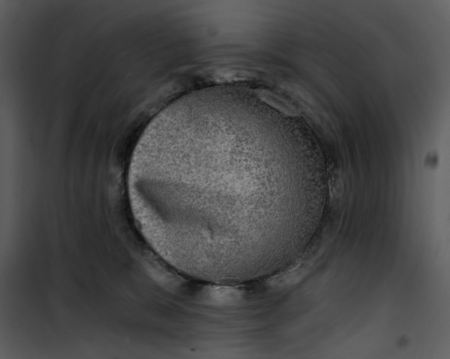 X0000101160327200807181405