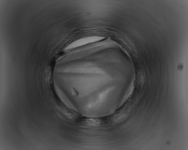 X0000101160328200807181405