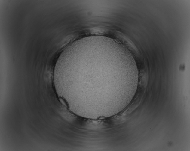 X0000101160329200807181405