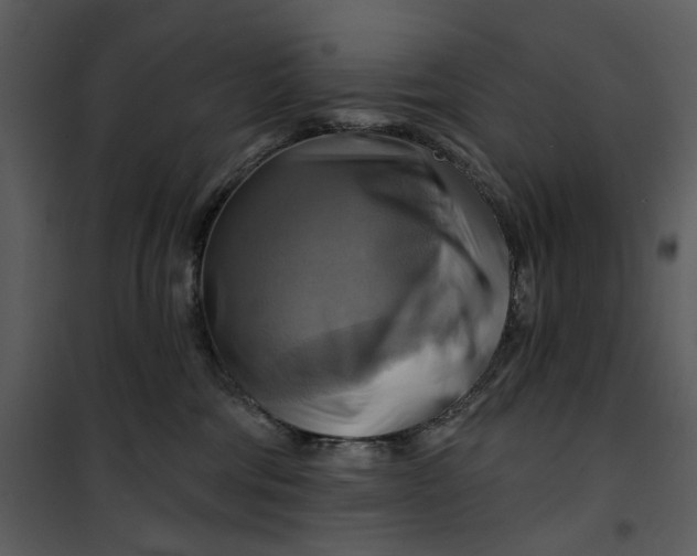 X0000101160330200807181405