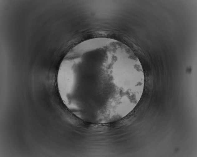 X0000101160331200807181405
