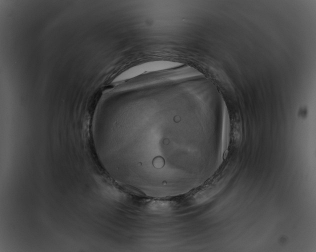 X0000101160332200807181405