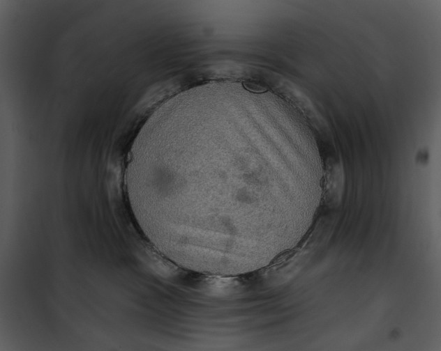 X0000101160333200807181405