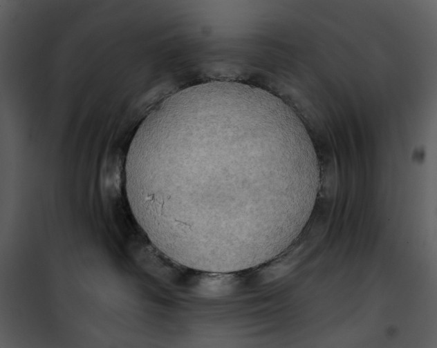 X0000101160334200807181405