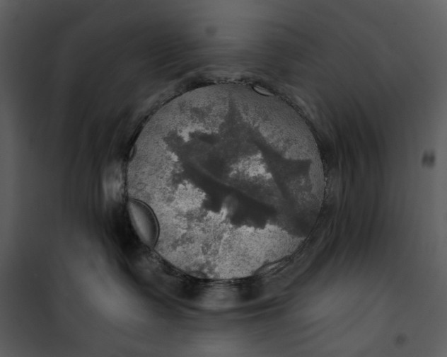 X0000101160335200807181405