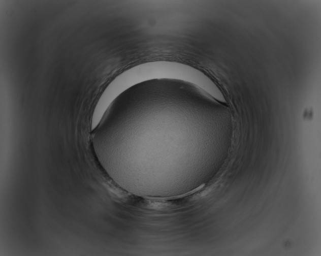 X0000101160336200807181405
