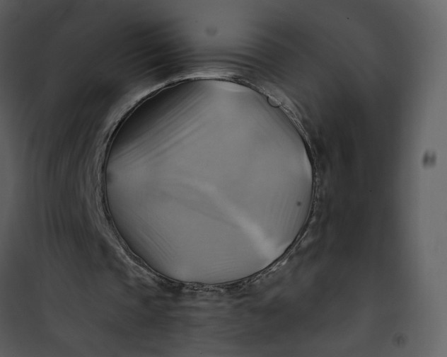X0000101160337200807181404
