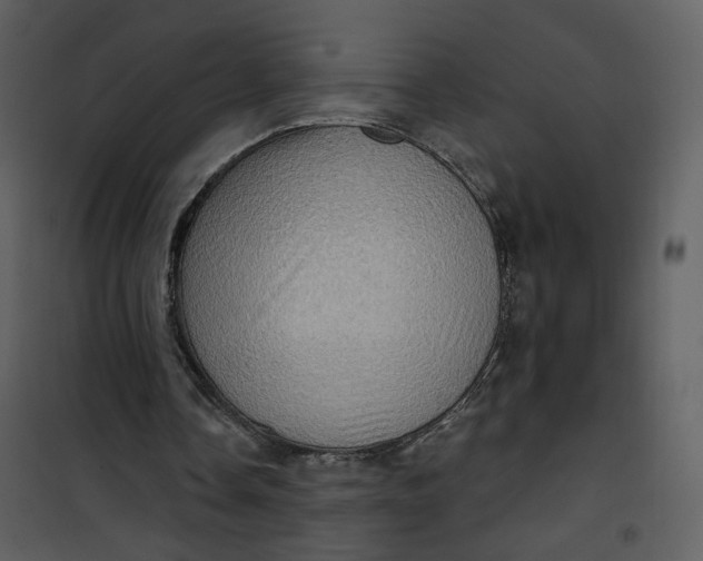 X0000101160338200807181404