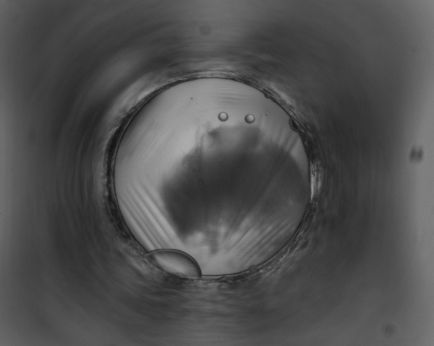 X0000101160339200807181404