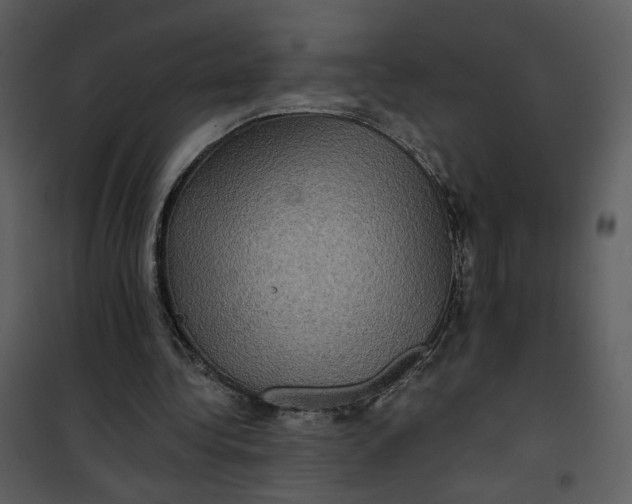 X0000101160340200807181404