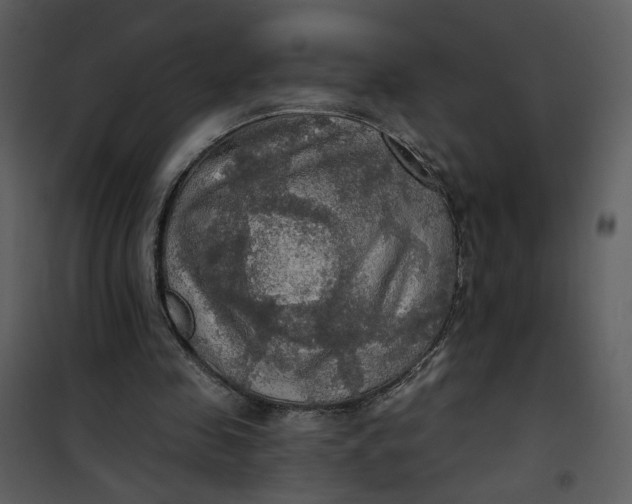 X0000101160341200807181404