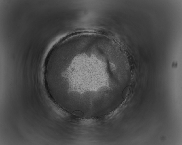 X0000101160342200807181404