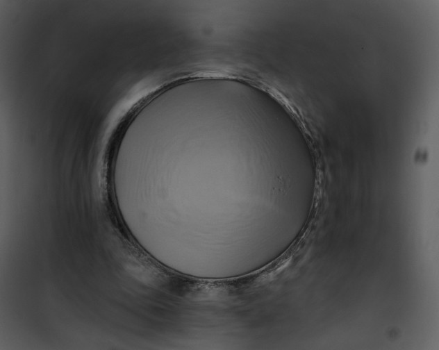X0000101160343200807181404