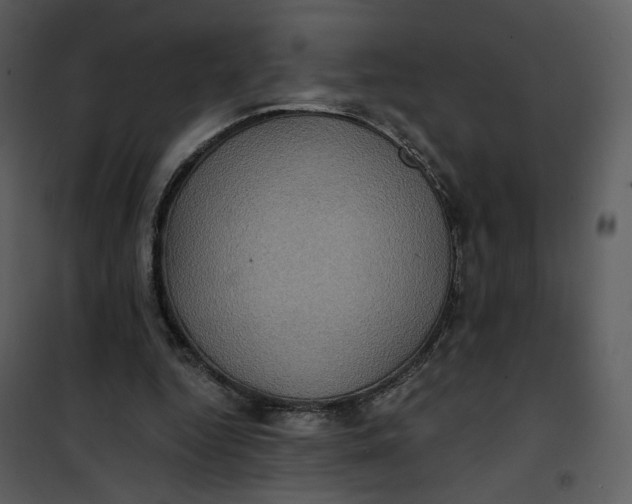X0000101160344200807181404