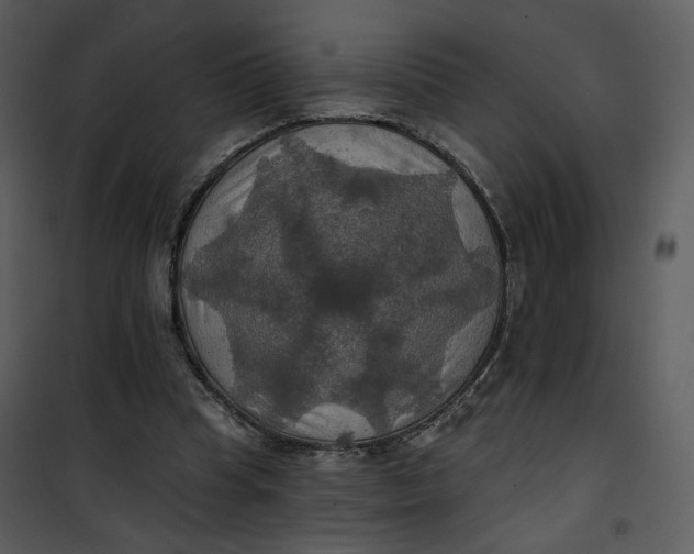 X0000101160345200807181404