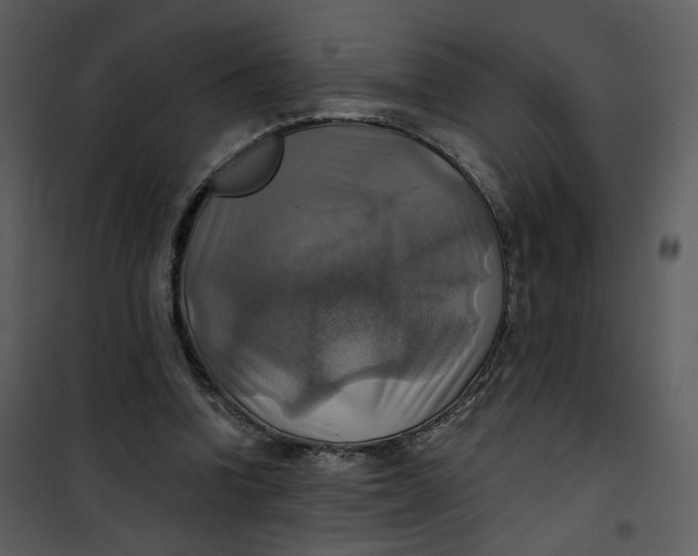 X0000101160346200807181404