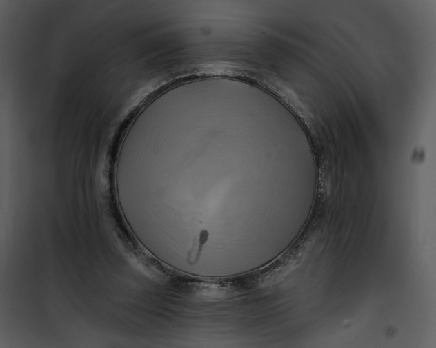 X0000101160347200807181404