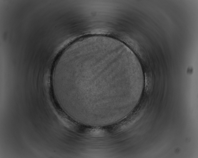 X0000101160348200807181404