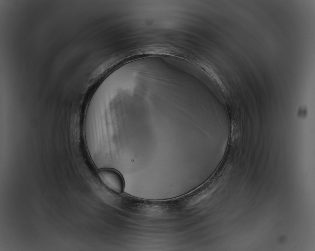 X0000101160349200807181404