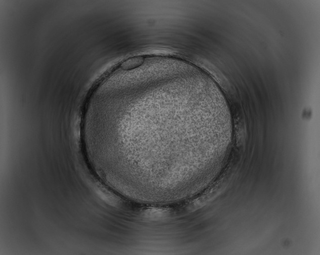 X0000101160350200807181404