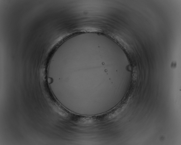 X0000101160351200807181404