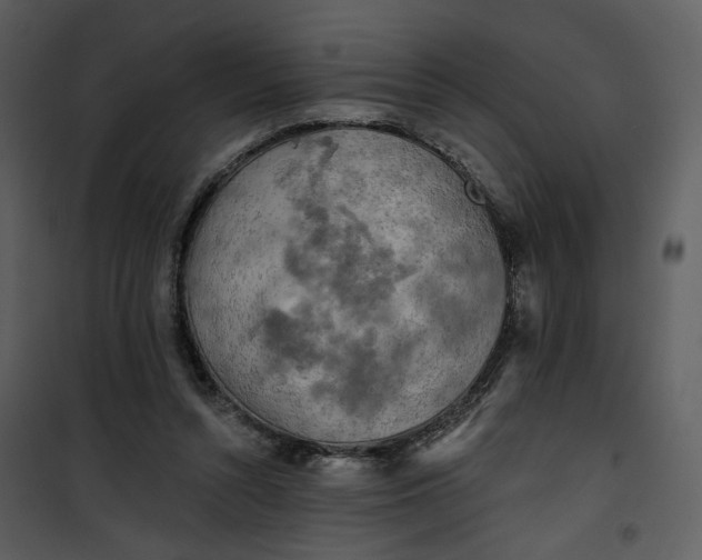 X0000101160352200807181404