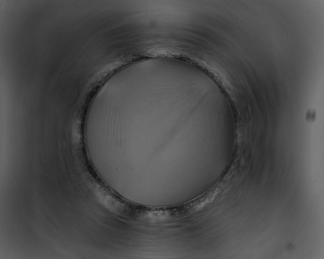 X0000101160353200807181404