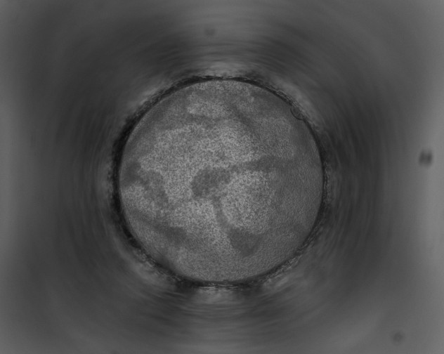 X0000101160354200807181404
