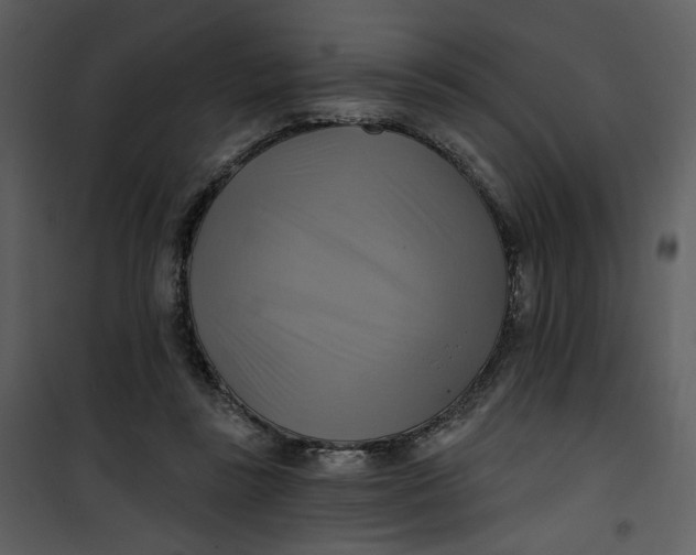 X0000101160355200807181404