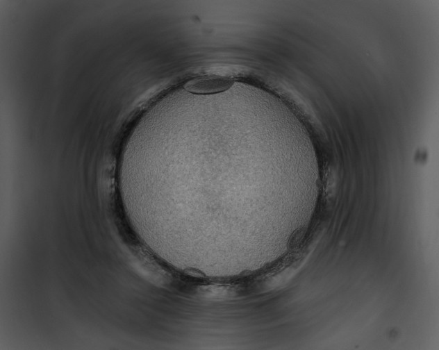 X0000101160356200807181404