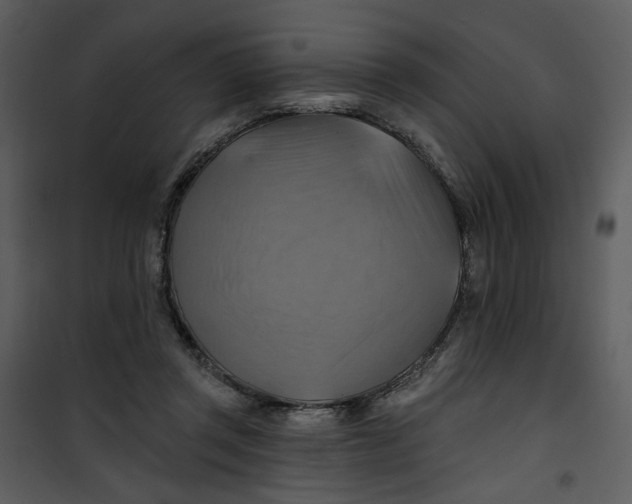 X0000101160357200807181404