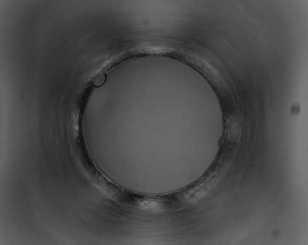 X0000101160358200807181404