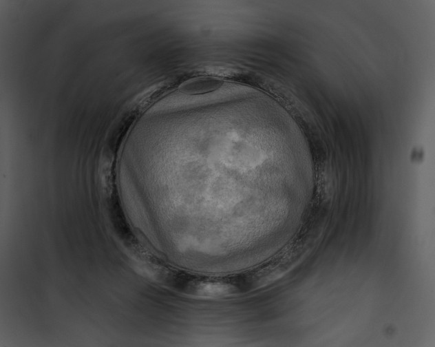 X0000101160360200807181404