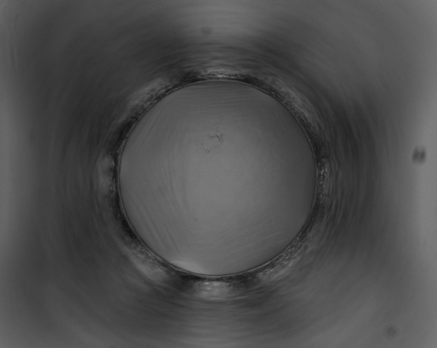 X0000101160361200807181404