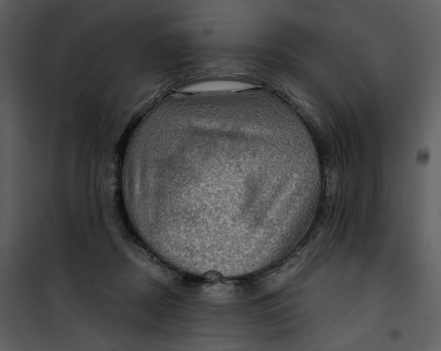 X0000101160362200807181404