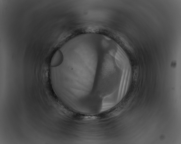 X0000101160363200807181404